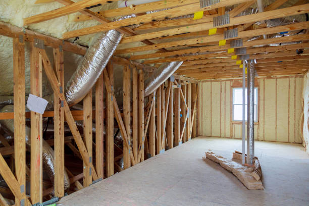 Best Insulation Removal  in Souderton, PA